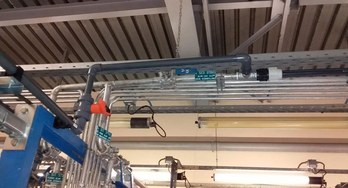 PVDF